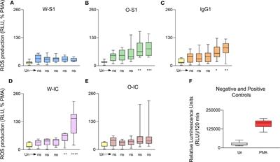 Variant-dependent oxidative and cytokine responses of human neutrophils to SARS-CoV-2 spike protein and anti-spike IgG1 antibodies